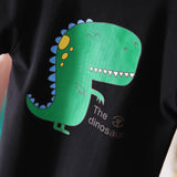 Children Boy Co Ord Summer Cartoon Dinosaur Short Sleeve Shorts 2 Piece Set