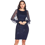 Homecoming Dresses Tight Sexy Mesh Stitching Sequins Dress