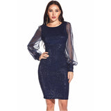 Homecoming Dresses Tight Sexy Mesh Stitching Sequins Dress