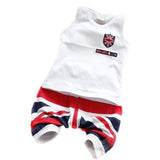 Children Boy Co Ord 2 Piece Set Summer Print Sleeveless Harem Pants Printing Suit