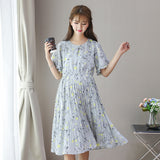Maternity Clothes Dress Summer Maternity Dress Pleated Dress Short Sleeve and Long Pattern