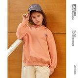 Hooded Sweater Spring Children's Pony Printed Loose Top Children GIRL'S Spring Clothes