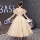 Princess Charlotte Flower Girl Dress Evening Gown Princess Dress Children's Wedding Dress Costume for Piano Performance