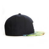 Trendy flat brimmed hat us dollar