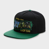 Trendy flat brimmed hat letter hip hop style grids