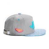 Trendy flat brimmed hat fly picture