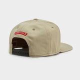 Trendy flat brimmed hat cartoon