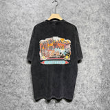 Amiri washed t-shirt lake view oil painting short sleeve