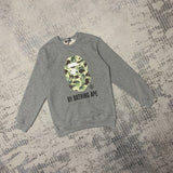 Bathing Ape Sweatshirt
