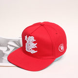 HS Hat fashion embroidered baseball cap