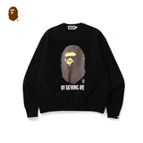 Bathing Ape Sweatshirt