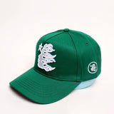 HS Hat fashion embroidered baseball cap