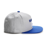 Trendy flat brimmed hat shade