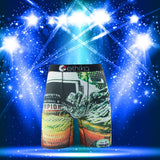 Ethika Boxer Briefs Breathable and Quick Drying Boxer Briefs