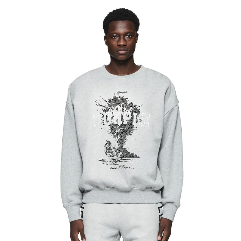 Purple Brand Sweatshirt Loose Crew Neck Sweater