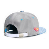 Trendy flat brimmed hat fly picture