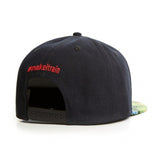Trendy flat brimmed hat us dollar