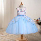 Toddler Girls Sequin Gown Dress Children Princess Pettiskirt Colorful Dress Mesh I Dress for Women