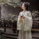 Chinese Traditional Dress Chest-High Dress Fresh and Elegant Embroidery