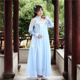 Chinese Traditional Dress Waist Chest-High Dress Fresh and Elegant