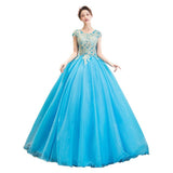 Women's Evening Dress Ball Gown Princess Quinceanera Wedding Dresses Long Stage Costume Evening Dress Tulle Tutu Dress
