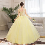 Women's Evening Dress Ball Gown Princess Quinceanera Wedding Dresses Costume Tulle Tutu Dress Formal Dress