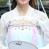 Chinese Traditional Dress Adult Embroidered Tang Guzheng PIPA