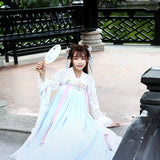 Chinese Traditional Dress Adult Embroidered Tang Guzheng PIPA