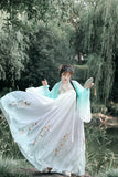 Chinese Traditional Dress Six-Meter Embroidered Daily Large Swing Dress
