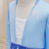 Halloween Frozen Dress Toddler Princess Elsa Dress Frozen 2 Aisha Children's Holiday Dress Costume