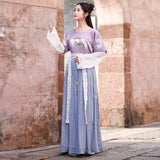 Chinese Traditional Dress Summer Embroidery Chest-High Dress Daily Elegant