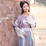 Chinese Traditional Dress Summer Embroidery Chest-High Dress Daily Elegant