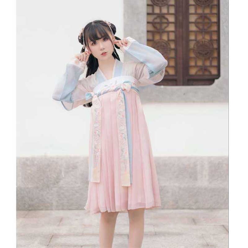Chinese Traditional Dress Chest-High Dress Embroidered Lolita