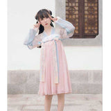 Chinese Traditional Dress Chest-High Dress Embroidered Lolita