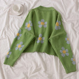 Preppy Aesthetic Sweater Knitted Coat Loose Spring and Autumn Sweater Cardigan