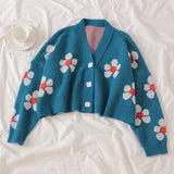 Preppy Aesthetic Sweater Knitted Coat Loose Spring and Autumn Sweater Cardigan