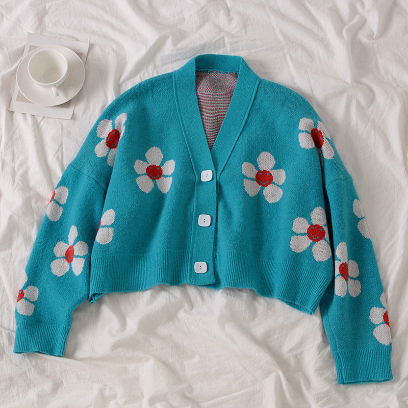 Preppy Aesthetic Sweater Knitted Coat Loose Spring and Autumn Sweater Cardigan
