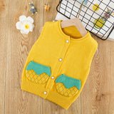 Boys Sweater Vest Fall Winter Kids' Sweater Pineapple Cute Cardigan Vest Jacket