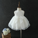 Baby Girl Christening Dress Baptism Dresses Girl Baptism Dress Spring/Summer One Month Old Baby Dress