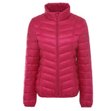 Women Winter Coats Puffer Jacket down Coat Lightweight down Jacket Women's Short Twill Slim Stand Collar Jacket