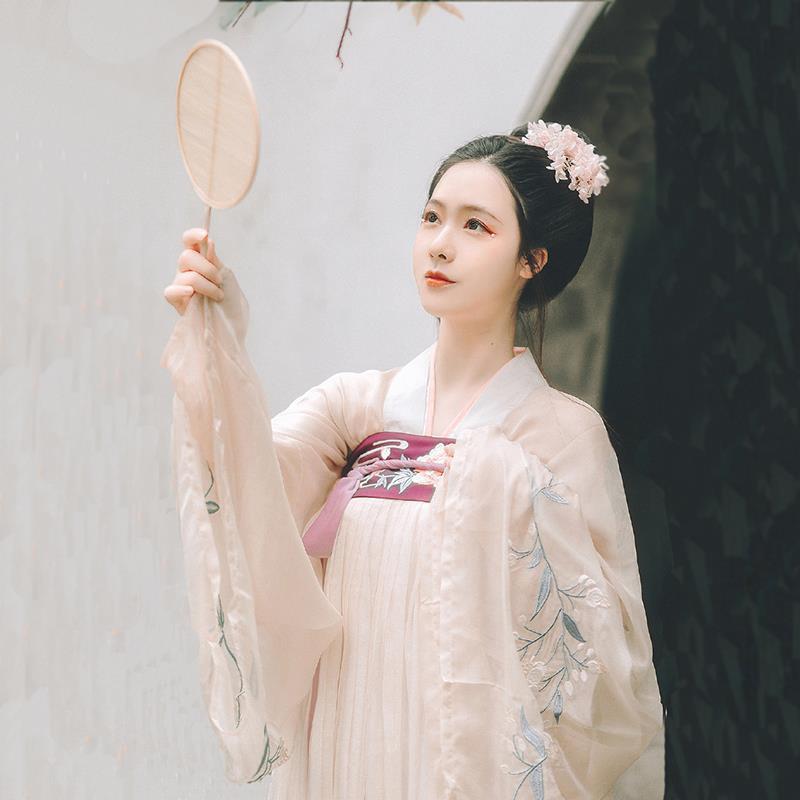 Chinese Traditional Dress Adult Long Sleeve Chest-High Dress Daily Embroidery