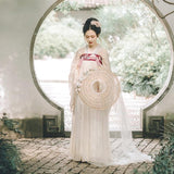 Chinese Traditional Dress Adult Long Sleeve Chest-High Dress Daily Embroidery