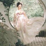 Chinese Traditional Dress Adult Long Sleeve Chest-High Dress Daily Embroidery