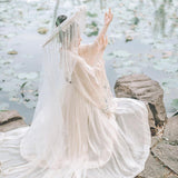 Chinese Traditional Dress Adult Long Sleeve Chest-High Dress Daily Embroidery