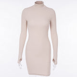 Winter Formal Dresses Autumn and Winter Long Sleeve Underwear Turtleneck Short Skirt Tight Long Sleeve Dress for Women