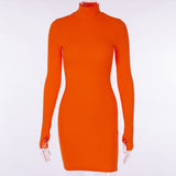 Winter Formal Dresses Autumn and Winter Long Sleeve Underwear Turtleneck Short Skirt Tight Long Sleeve Dress for Women