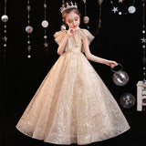 Princess Charlotte Flower Girl Dress Host Evening Dress Children's Catwalk Performance Costume Birthday Princess Dress Autumn