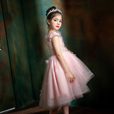 Princess Charlotte Flower Girl Dress Princess Dress Autumn Pink Bridesmaid Birthday Piano Violin Costume