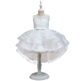 Toddler Girls Sequin Gown Dress Children's Full Dress Lace Wedding Dress Performance Wear Mesh Embroidery