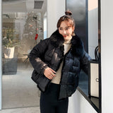 Women Winter Coats Puffer Jacket Down Coat Winter Fox Fur Collar Down Jacket Women's Mink Furry Down Jacket